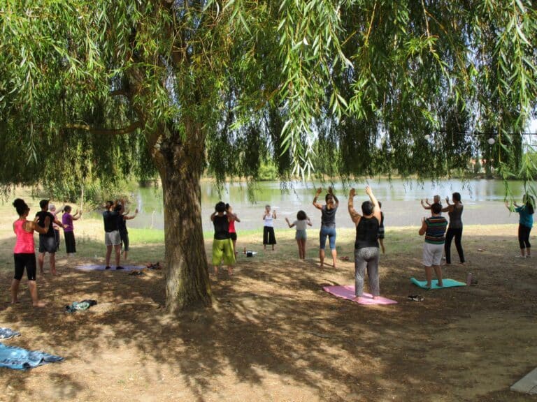 Stage Qi-Gong taoïste sante energetique chinoise Rabastens Couffouleux 81800 Muriel ESCUDE TARN Holinergy